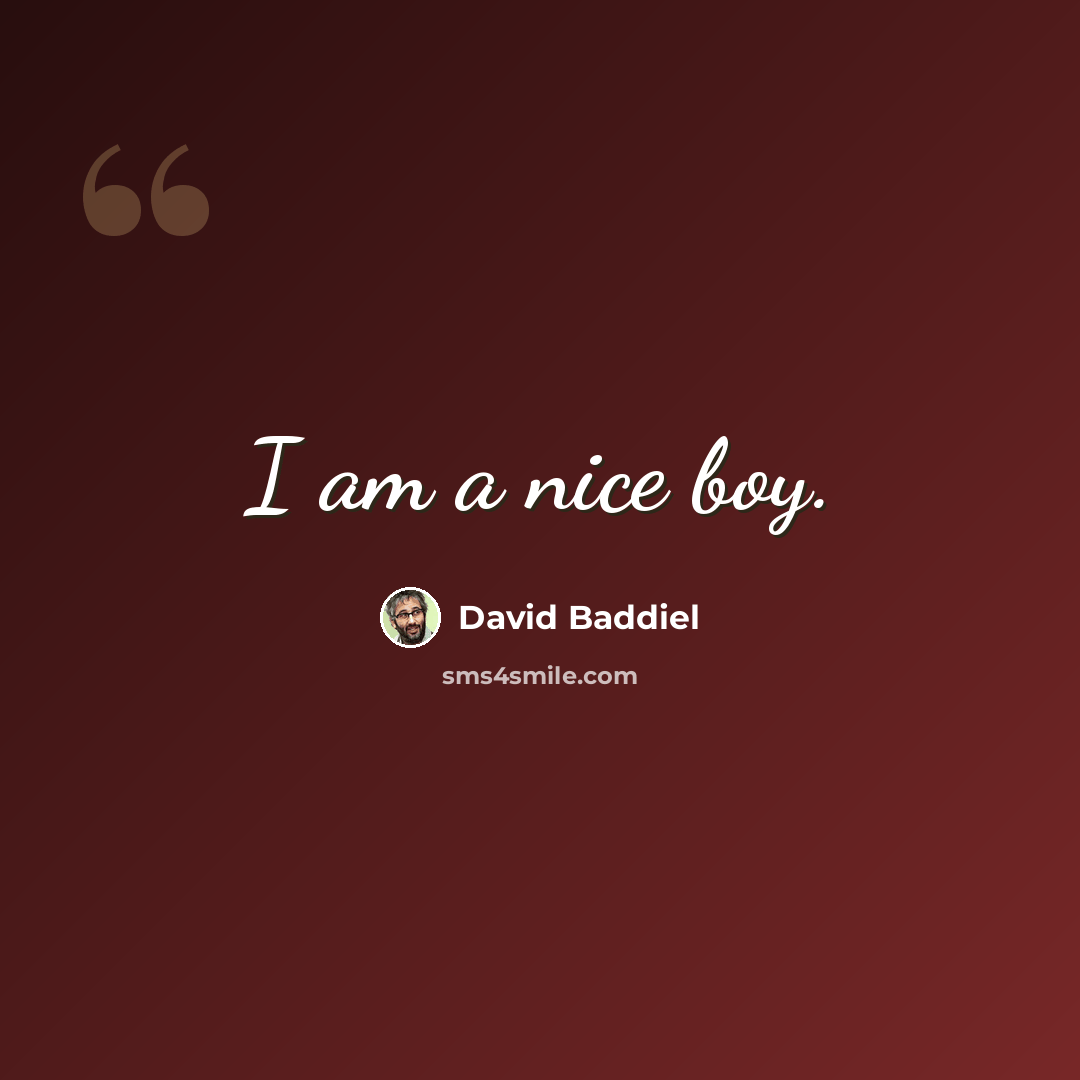 “I am a nice boy.” quote by David Baddiel