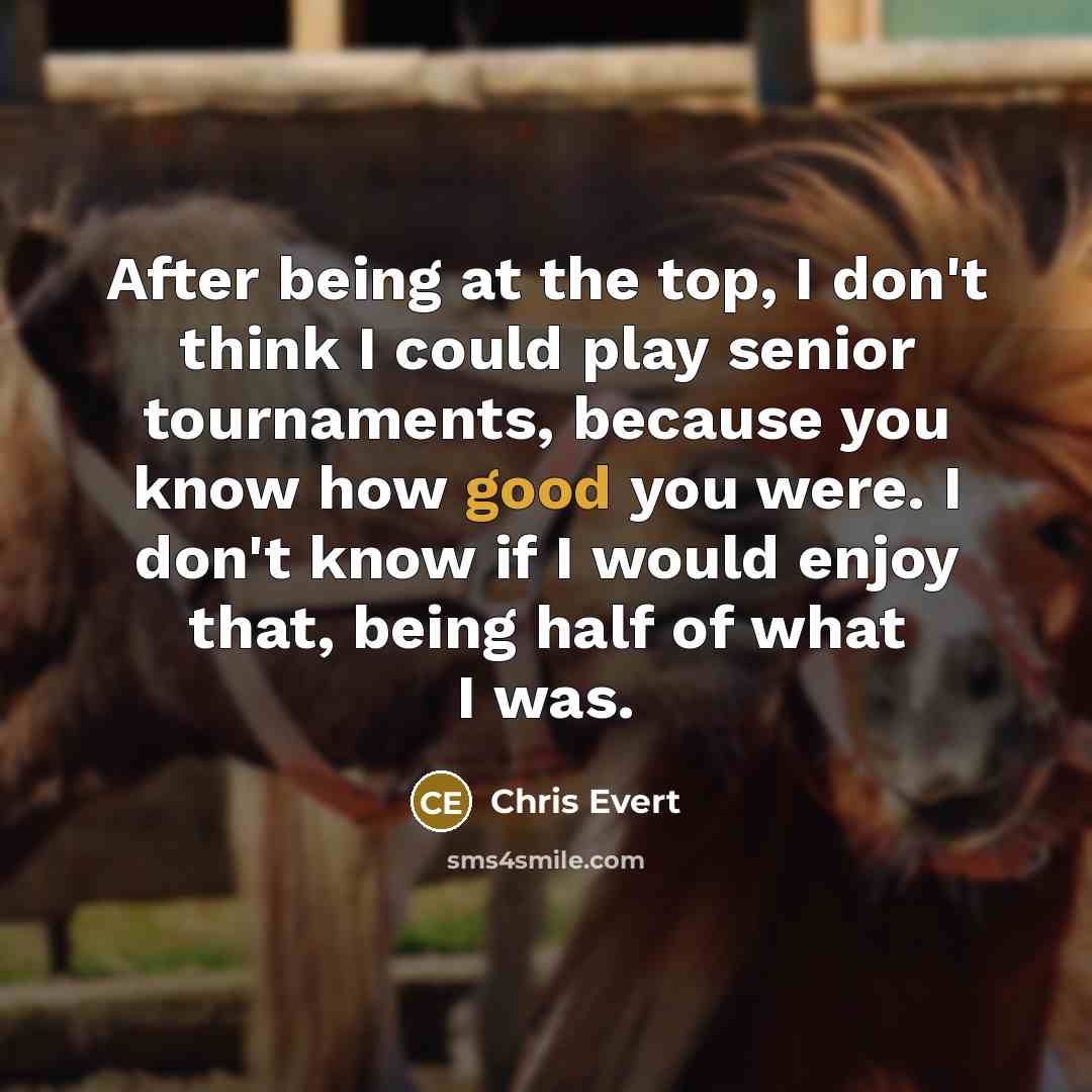 “After being at the top, I don't think I could play senior tournaments, because you know how good you were. I don't know if I would enjoy that, being half of what I was.” quote by Chris Evert