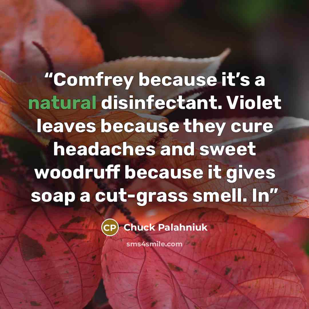 “Comfrey because it’s a natural disinfectant. Violet leaves because they cure headaches and sweet woodruff because it gives soap a cut-grass smell. In” quote by Chuck Palahniuk