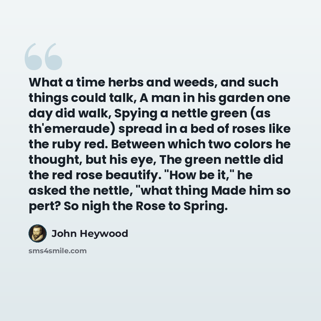 “What a time herbs and weeds, and such things could talk, A man in his garden one day did walk, Spying a nettle green (as th'emeraude) spread in a bed of roses like the ruby red. Between which two colors he thought, but his eye, The green nettle did the red rose beautify. "How be it," he asked the…” quote by John Heywood