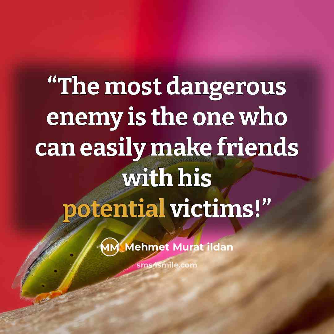 “The most dangerous enemy is the one who can easily make friends with his potential victims!” quote by Mehmet Murat ildan