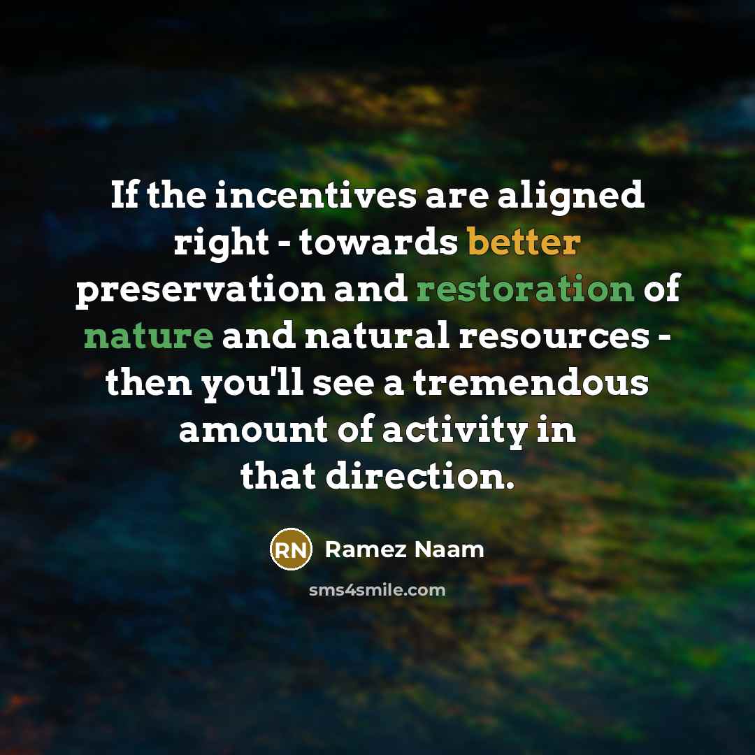“If the incentives are aligned right - towards better preservation and restoration of nature and natural resources - then you'll see a tremendous amount of activity in that direction.” quote by Ramez Naam
