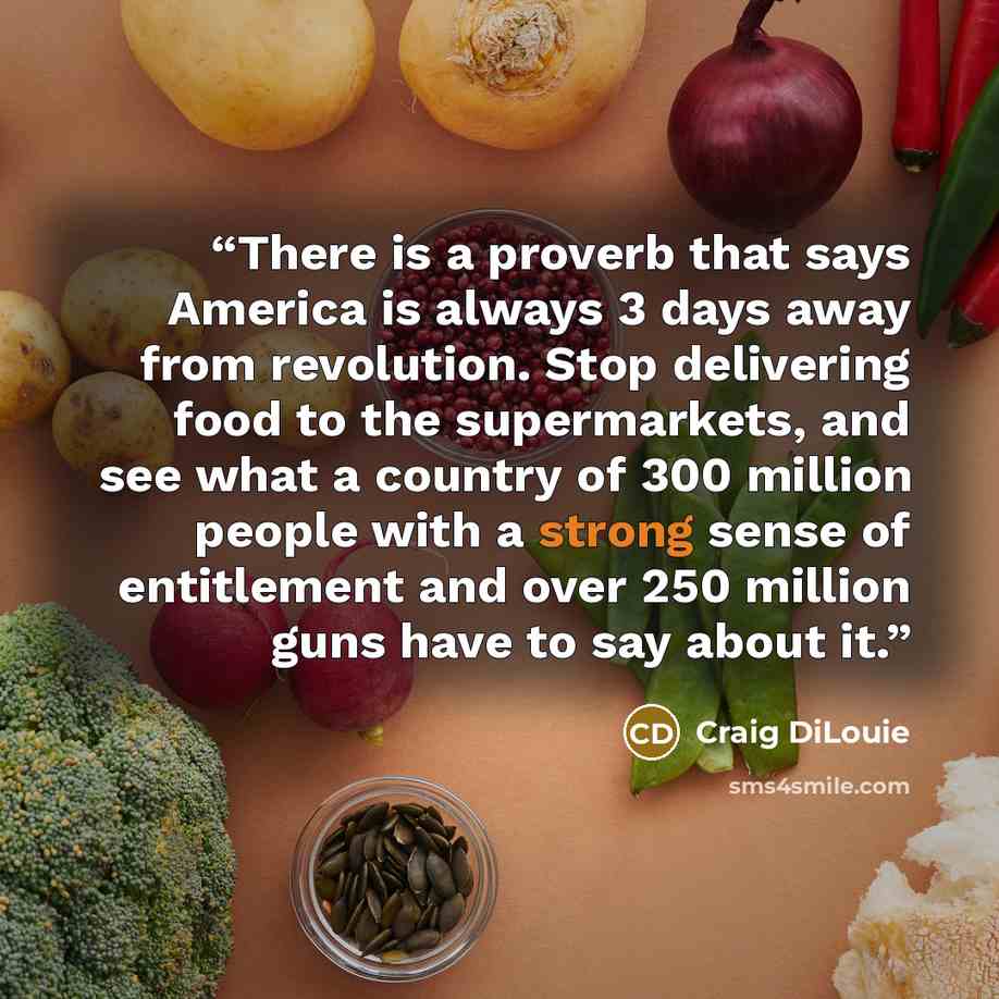 “There is a proverb that says America is always 3 days away from revolution. Stop delivering food to the supermarkets, and see what a country of 300 million people with a strong sense of entitlement and over 250 million guns have to say about it.” quote by Craig DiLouie