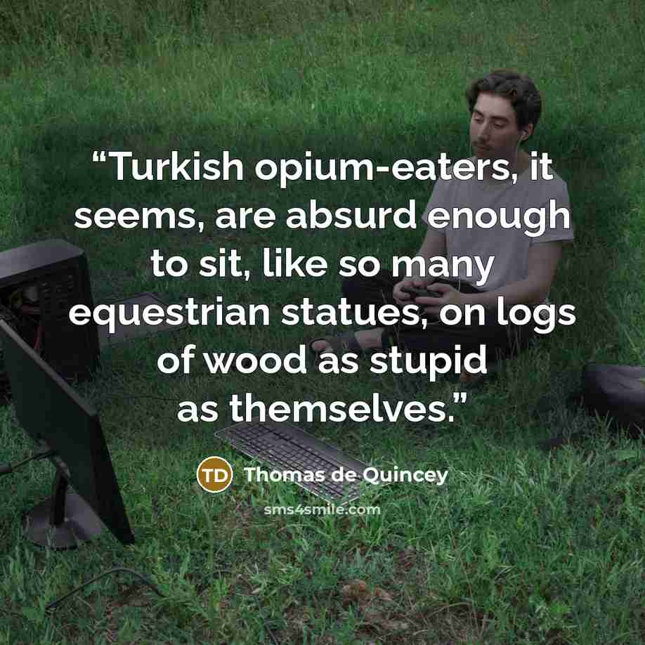 “Turkish opium-eaters, it seems, are absurd enough to sit, like so many equestrian statues, on logs of wood as stupid as themselves.” quote by Thomas de Quincey