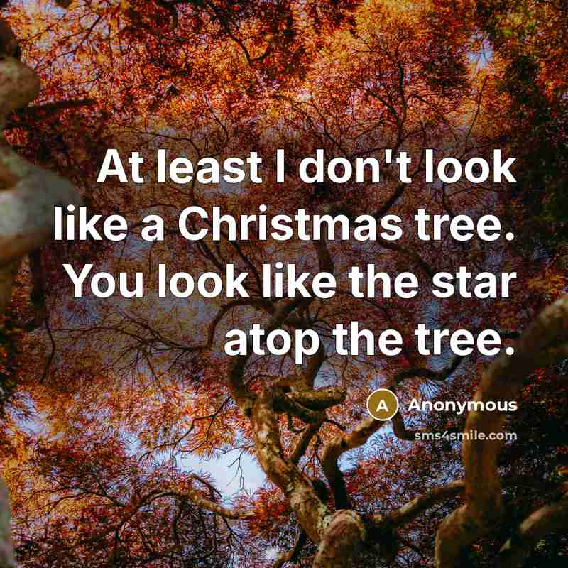 “At least I don't look like a Christmas tree. You look like the star atop the tree.” quote by Anonymous