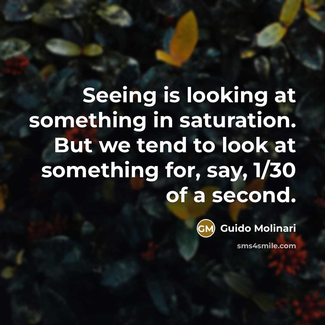 “Seeing is looking at something in saturation. But we tend to look at something for, say, 1/30 of a second.” quote by Guido Molinari