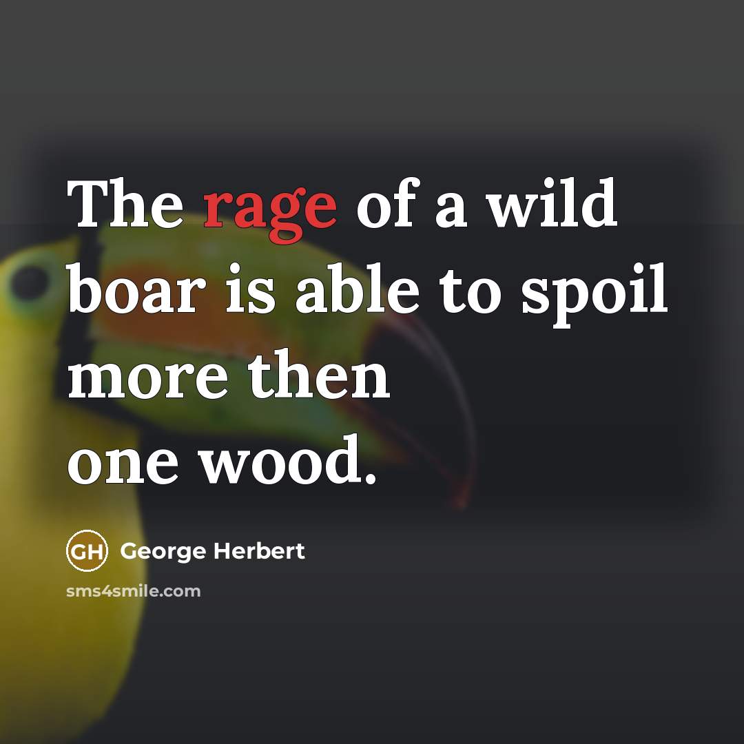 “The rage of a wild boar is able to spoil more then one wood.” quote by George Herbert