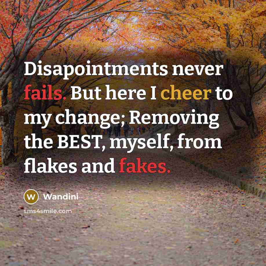 “Disapointments never fails. But here I cheer to my change; Removing the BEST, myself, from flakes and fakes.” quote by Wandini