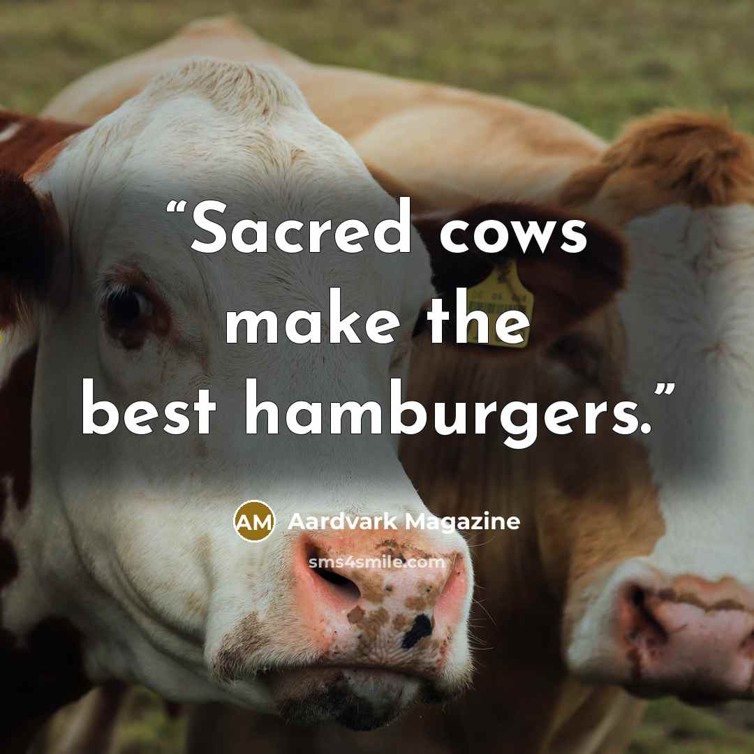 “Sacred cows make the best hamburgers.” quote by Aardvark Magazine