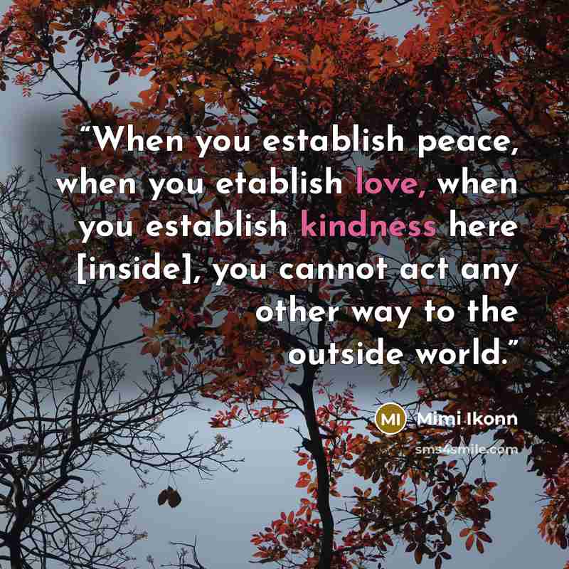 “When you establish peace, when you etablish love, when you establish kindness here [inside], you cannot act any other way to the outside world.” quote by Mimi Ikonn