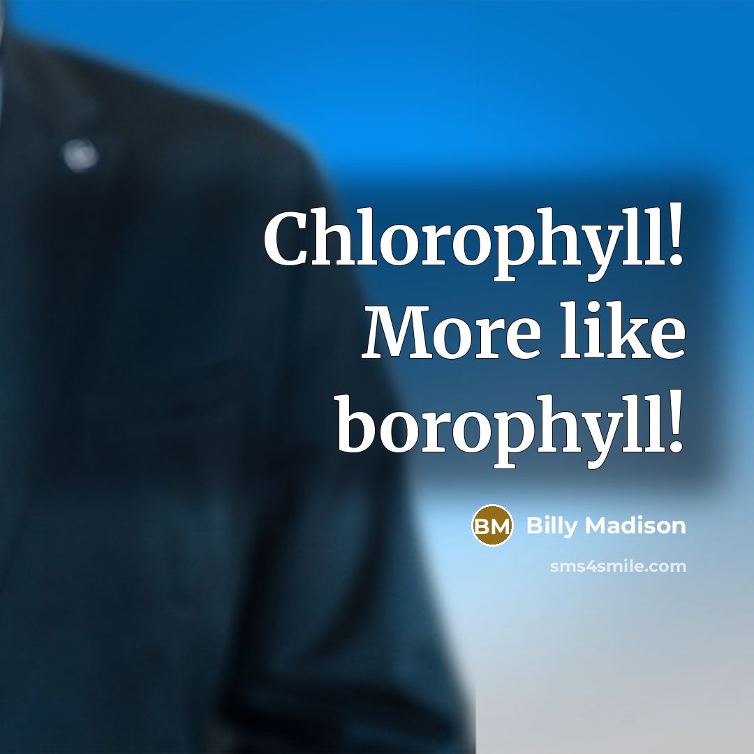 “Chlorophyll! More like borophyll!” quote by Billy Madison