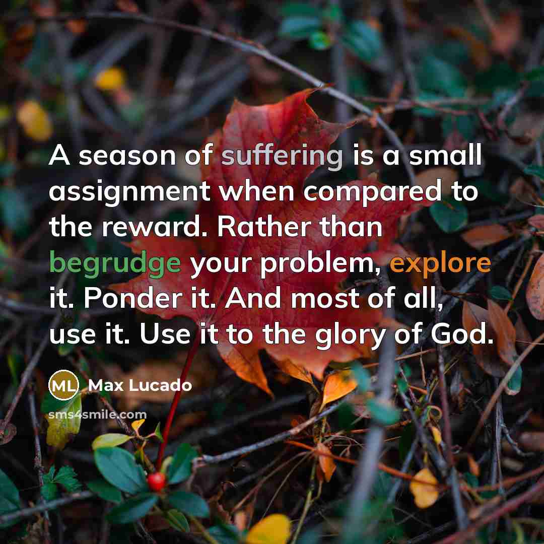 “A season of suffering is a small assignment when compared to the reward. Rather than begrudge your problem, explore it. Ponder it. And most of all, use it. Use it to the glory of God.” quote by Max Lucado