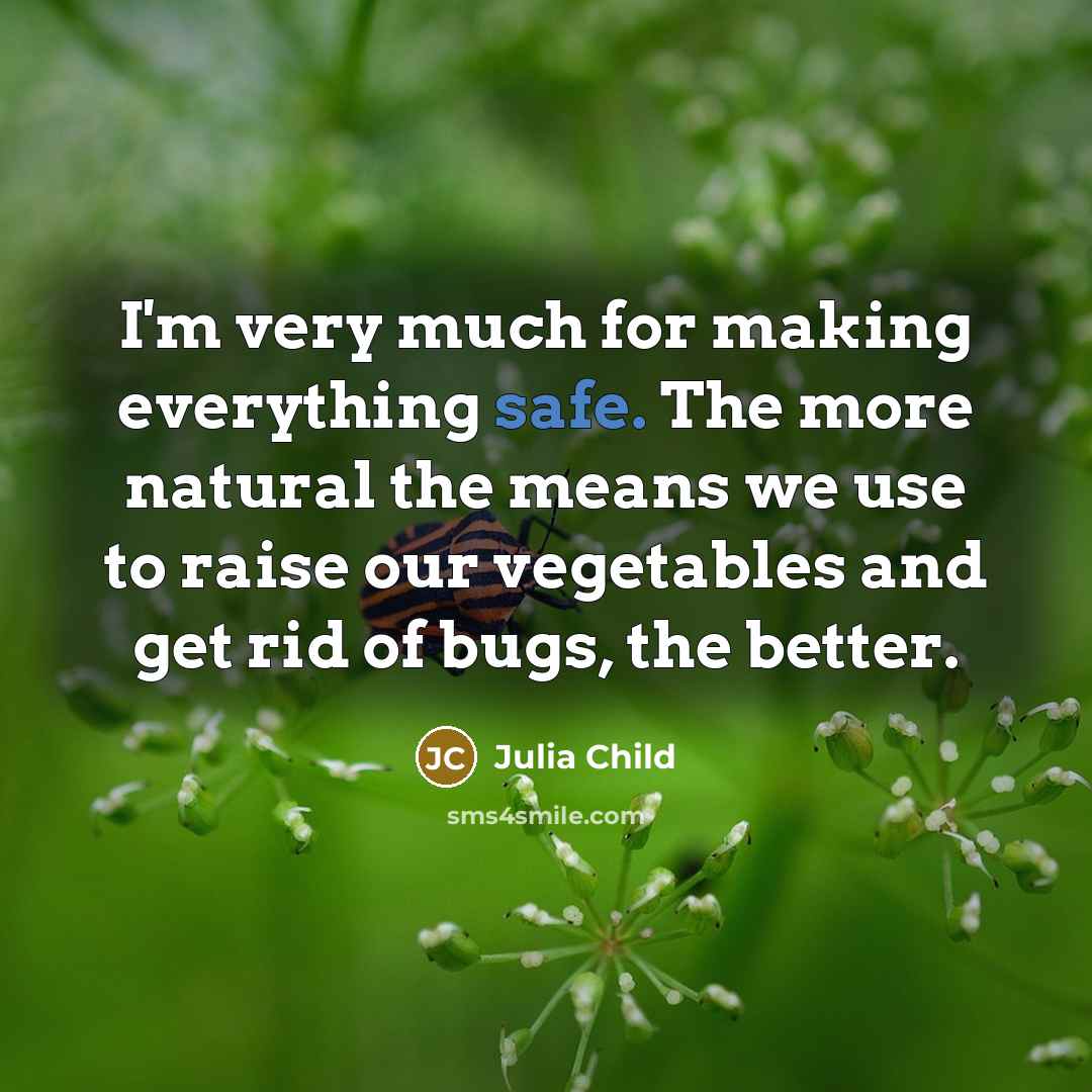 “I'm very much for making everything safe. The more natural the means we use to raise our vegetables and get rid of bugs, the better.” quote by Julia Child
