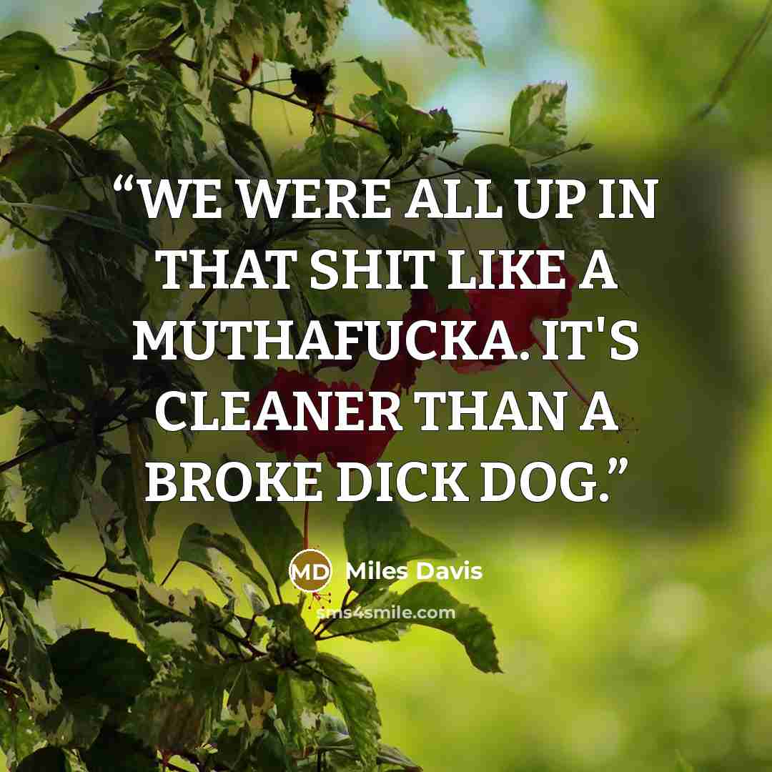 “WE WERE ALL UP IN THAT SHIT LIKE A MUTHAFUCKA. IT'S CLEANER THAN A BROKE DICK DOG.” quote by Miles Davis