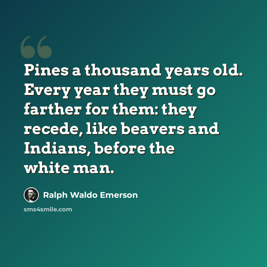 “Pines a thousand years old. Every year they must go farther for them: they recede, like beavers and Indians, before the white man.” quote by Ralph Waldo Emerson