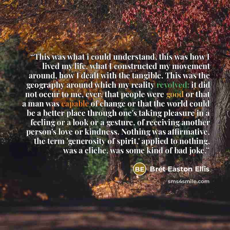 “This was what i could understand, this was how I lived my life, what I constructed my movement around, how I dealt with the tangible. This was the geography around which my reality revolved: it did not occur to me, ever, that people were good or that a man was capable of change or that the world…” quote by Bret Easton Ellis