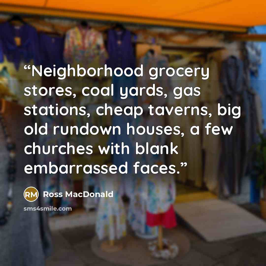 “Neighborhood grocery stores, coal yards, gas stations, cheap taverns, big old rundown houses, a few churches with blank embarrassed faces.” quote by Ross Macdonald