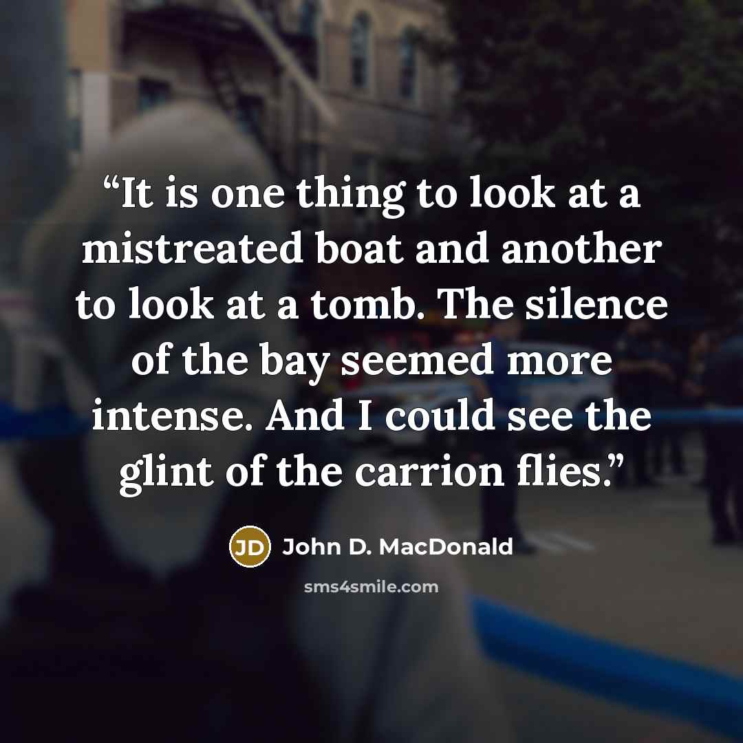 “It is one thing to look at a mistreated boat and another to look at a tomb. The silence of the bay seemed more intense. And I could see the glint of the carrion flies.” quote by John D. MacDonald