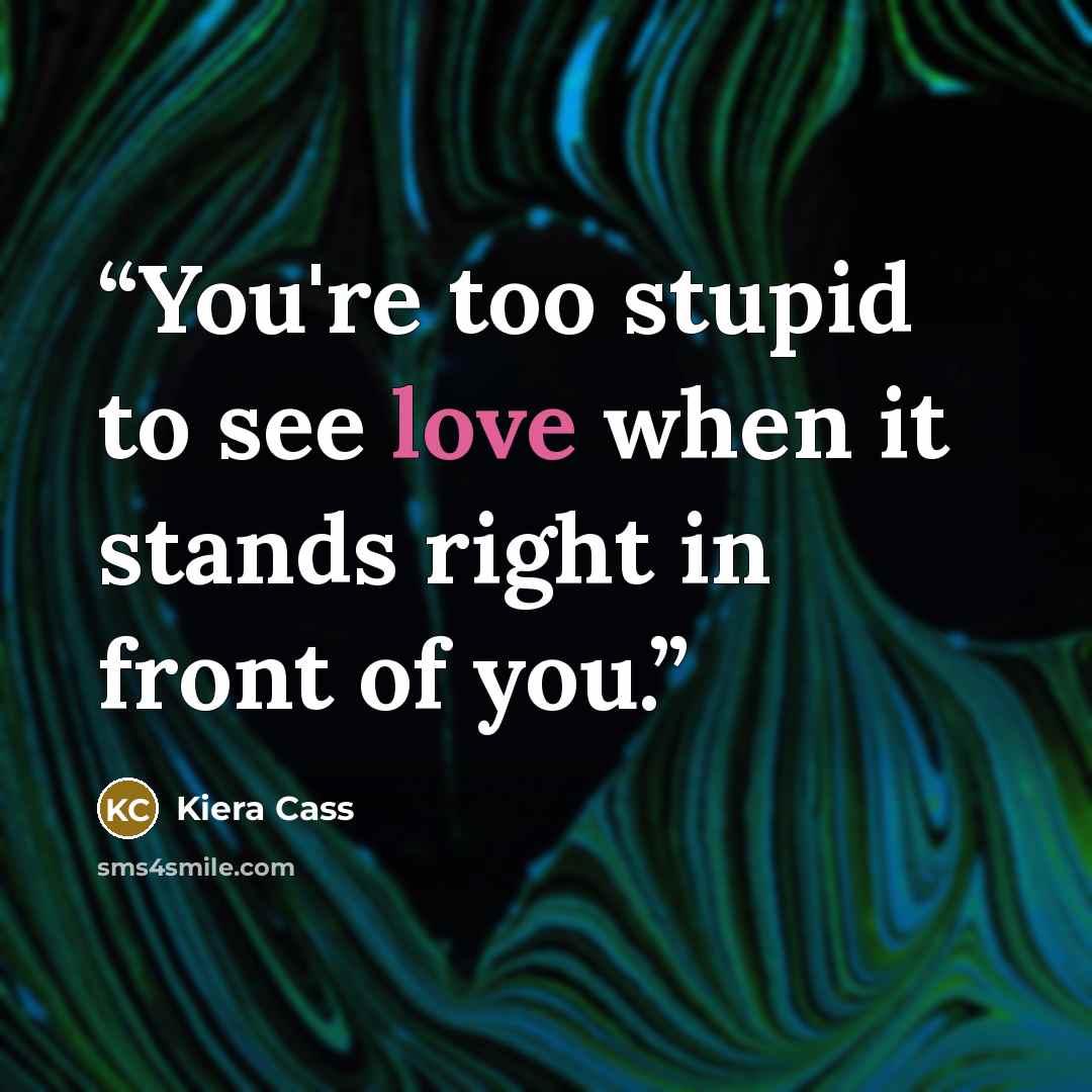 “You're too stupid to see love when it stands right in front of you.” quote by Kiera Cass