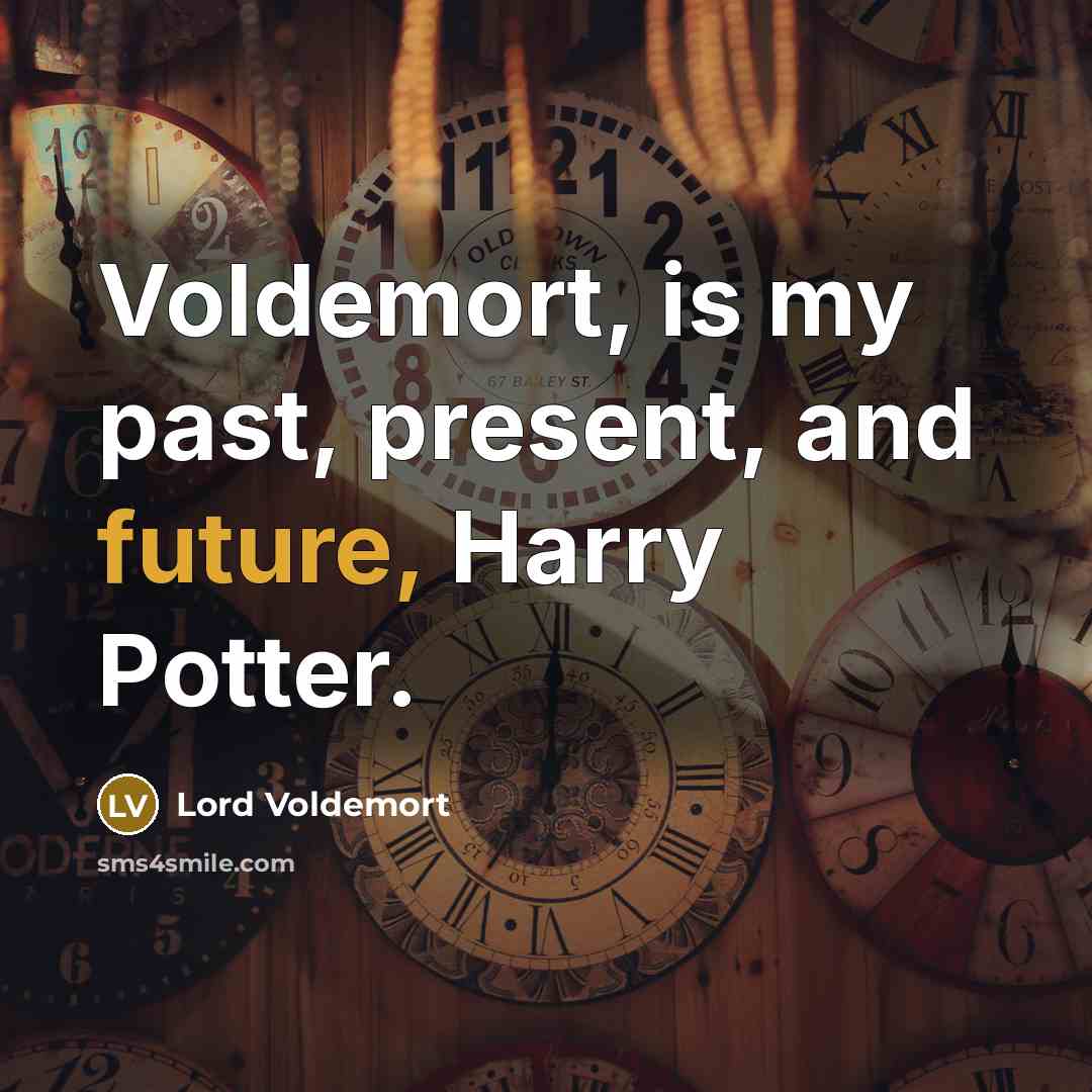 “Voldemort, is my past, present, and future, Harry Potter.” quote by Lord Voldemort
