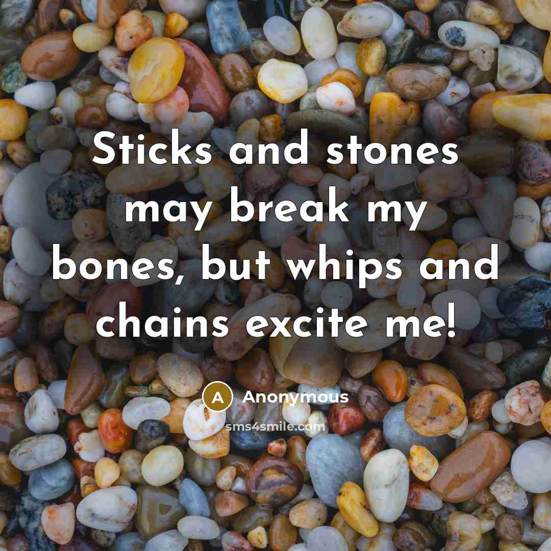 “Sticks and stones may break my bones, but whips and chains excite me!” quote by Anonymous