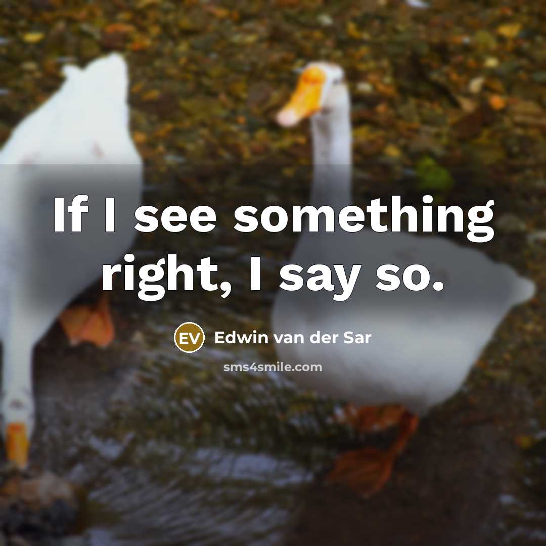 “If I see something right, I say so.” quote by Edwin van der Sar