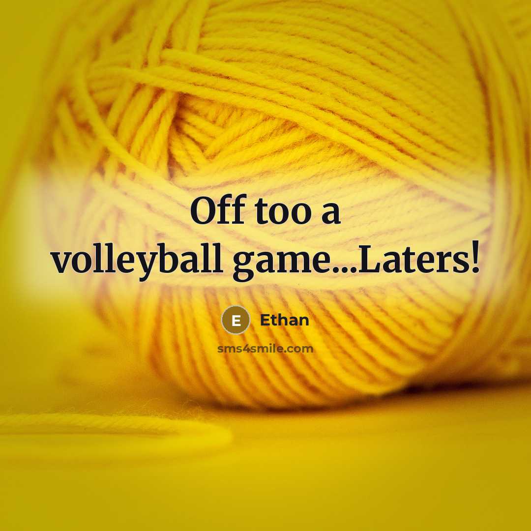 “Off too a volleyball game...Laters!” quote by Ethan