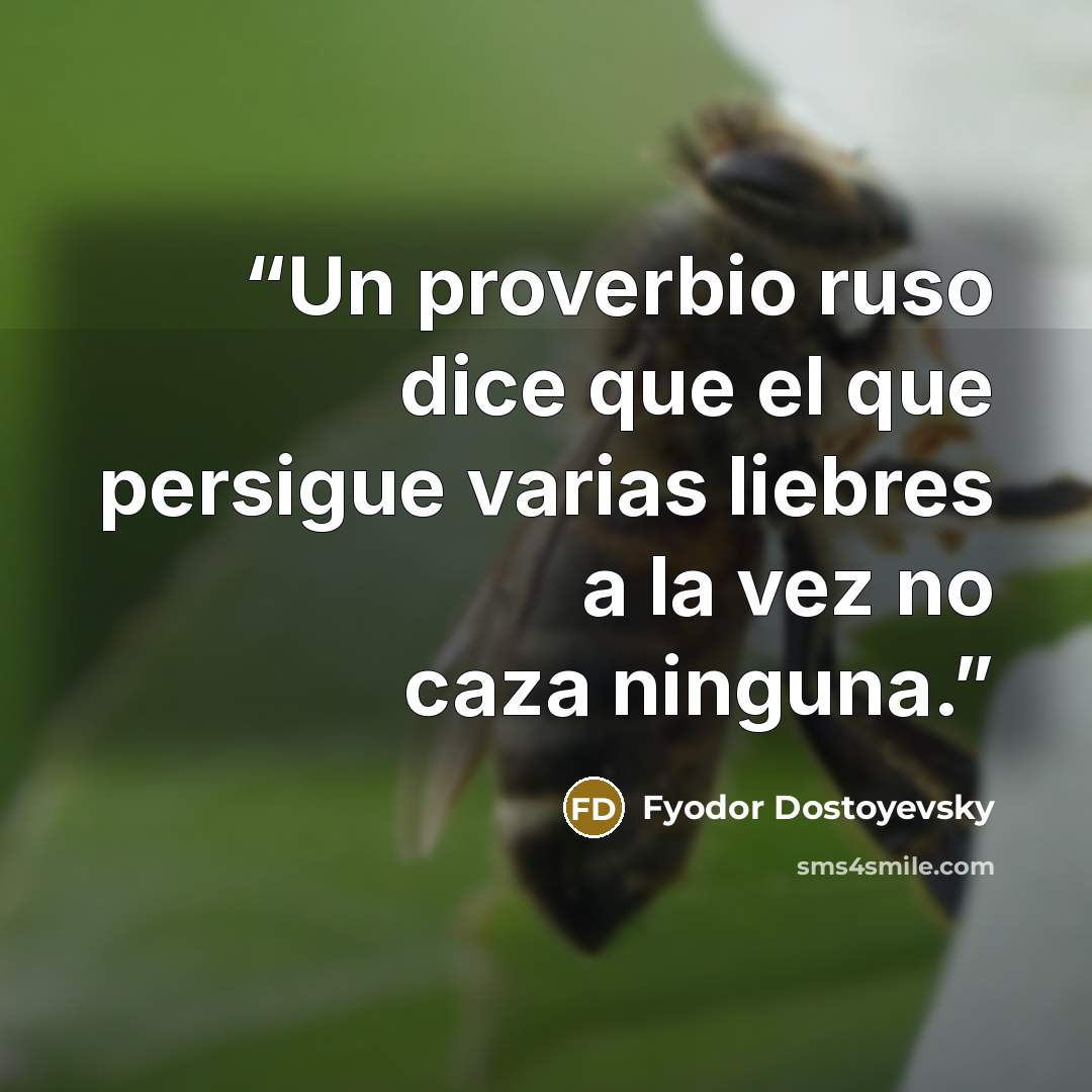 “Un proverbio ruso dice que el que persigue varias liebres a la vez no caza ninguna.” quote by Fyodor Dostoyevsky