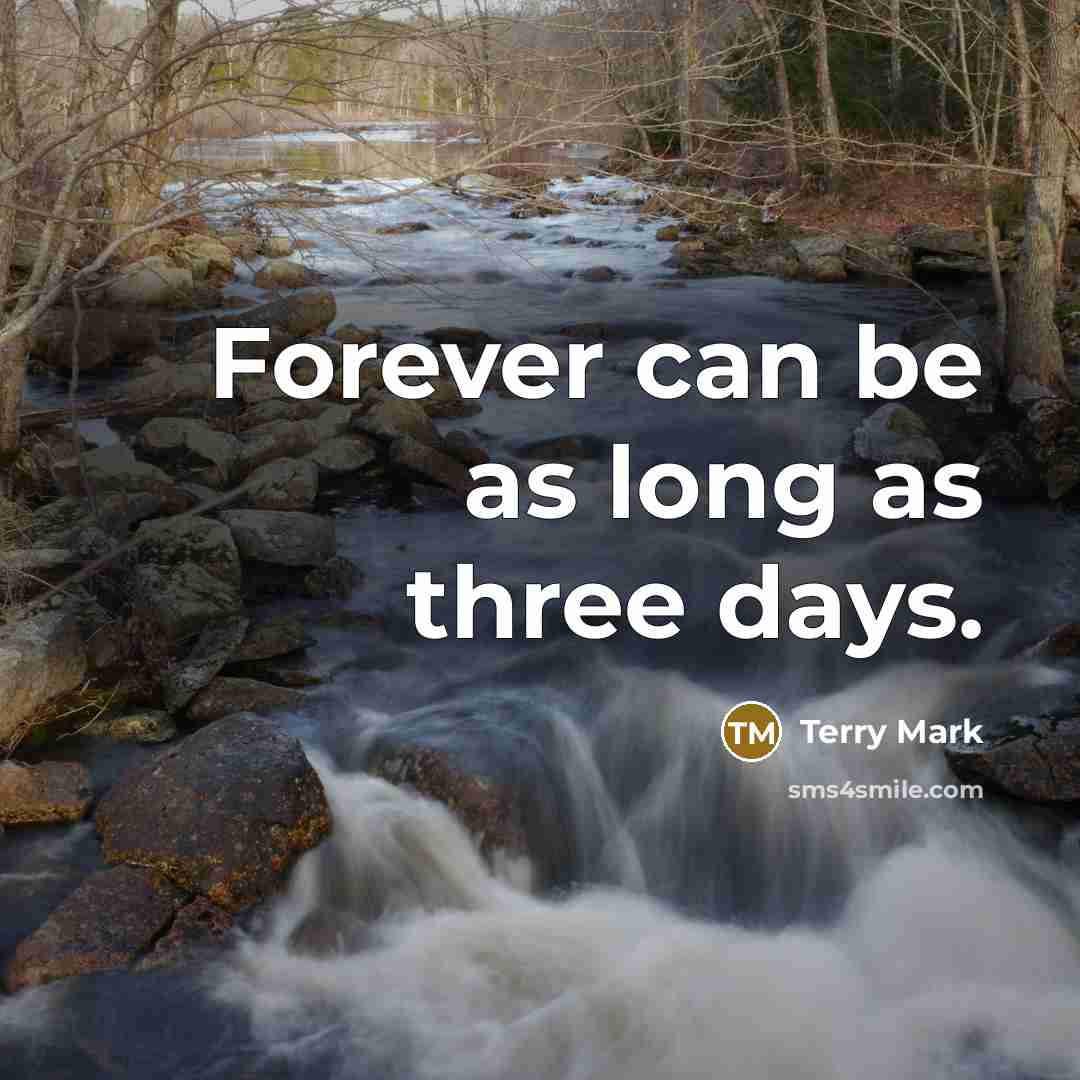 “Forever can be as long as three days.” quote by Terry Mark