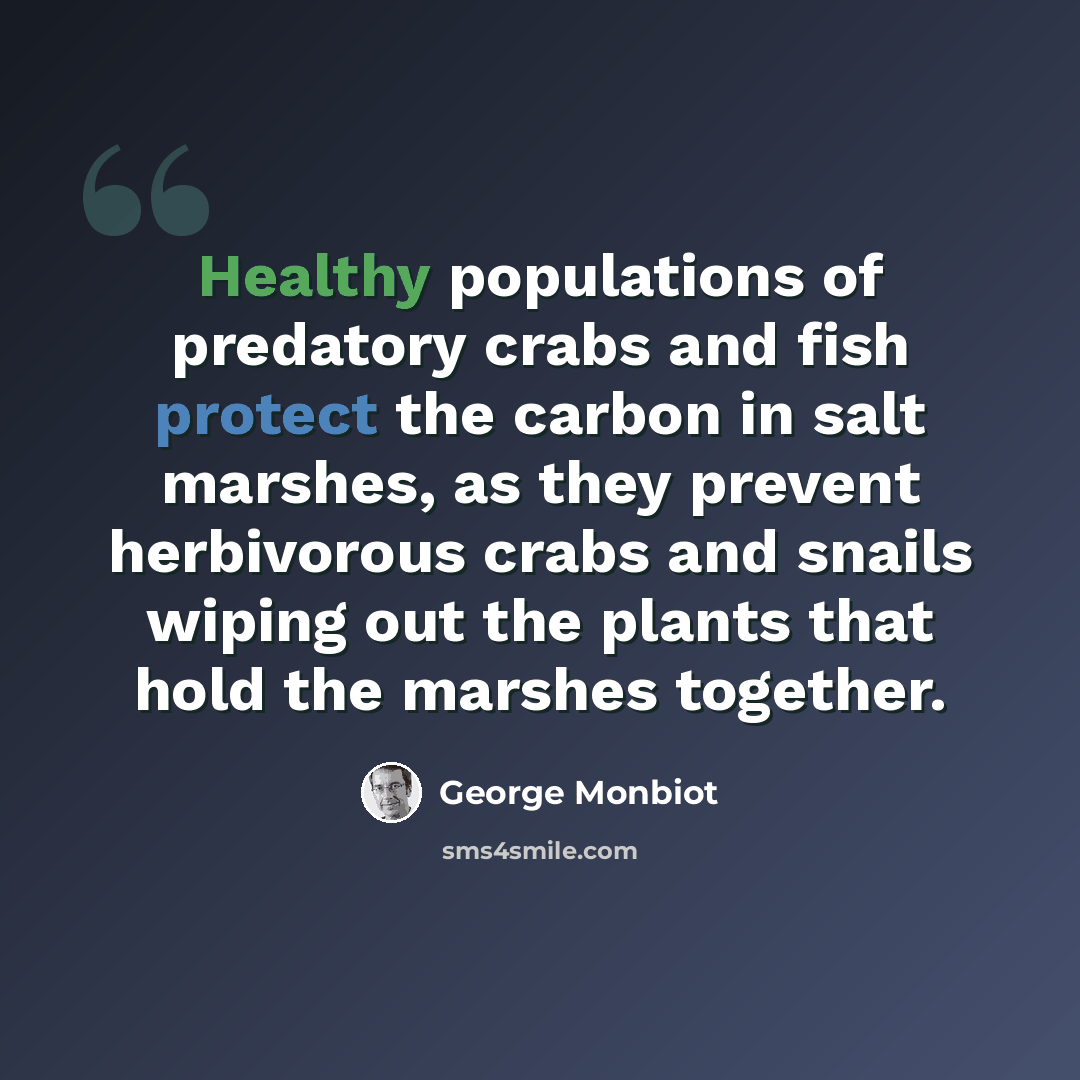 “Healthy populations of predatory crabs and fish protect the carbon in salt marshes, as they prevent herbivorous crabs and snails wiping out the plants that hold the marshes together.” quote by George Monbiot