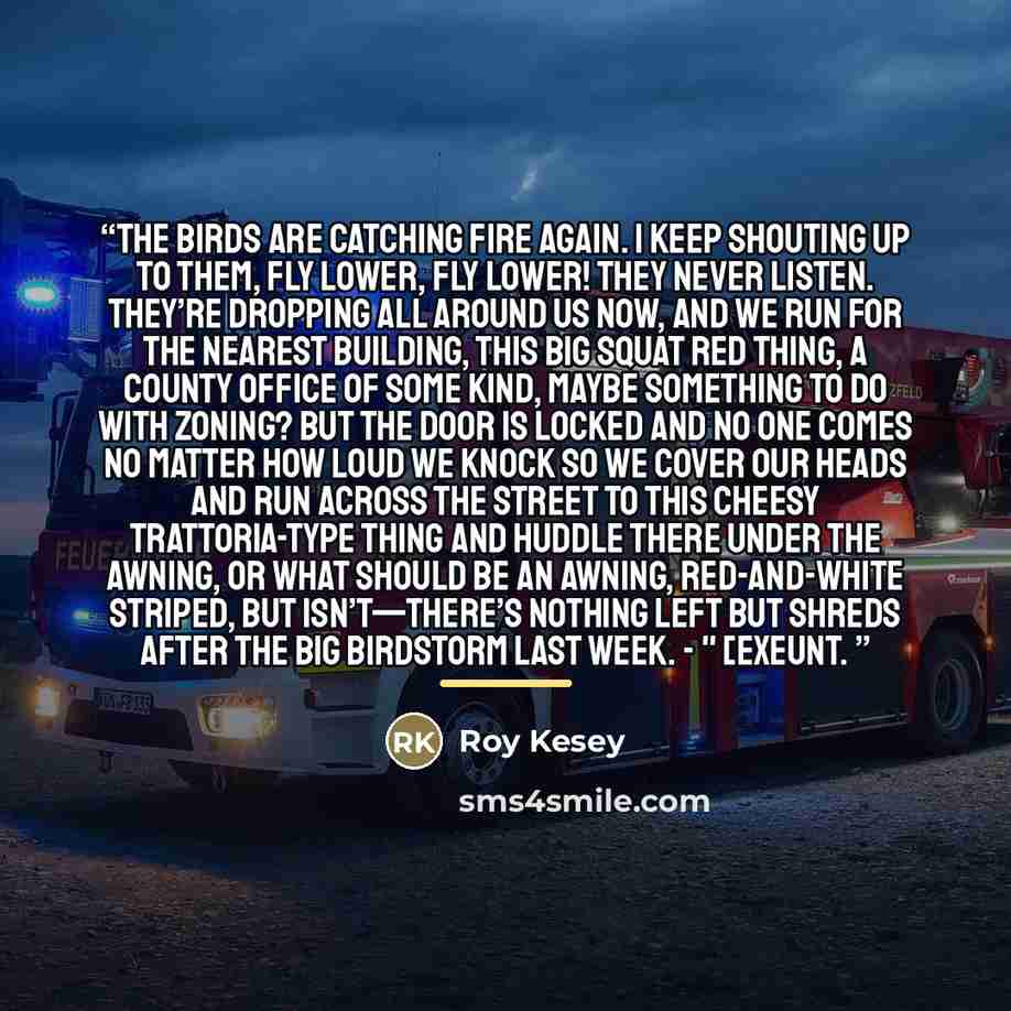 “The birds are catching fire again. I keep shouting up to them, Fly lower, fly lower! They never listen. They’re dropping all around us now, and we run for the nearest building, this big squat red thing, a county office of some kind, maybe something to do with zoning? But the door is locked and no…” quote by Roy Kesey