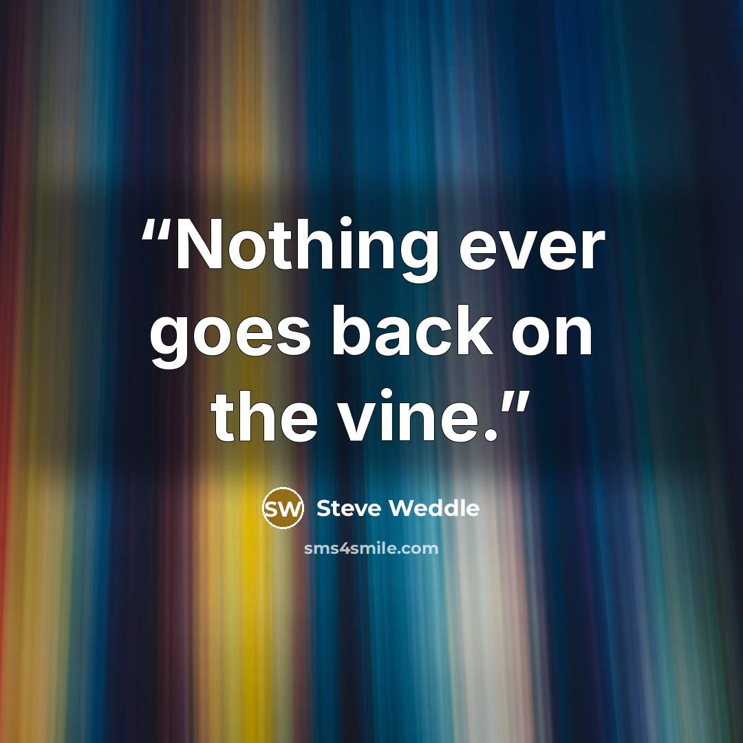 “Nothing ever goes back on the vine.” quote by Steve Weddle