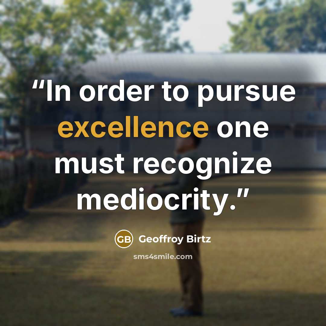 “In order to pursue excellence one must recognize mediocrity.” quote by Geoffroy Birtz