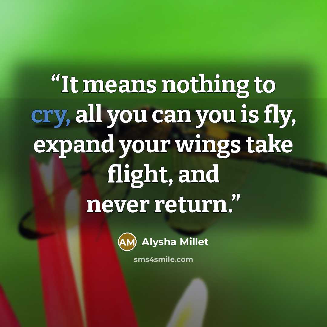 “It means nothing to cry, all you can you is fly, expand your wings take flight, and never return.” quote by Alysha Millet