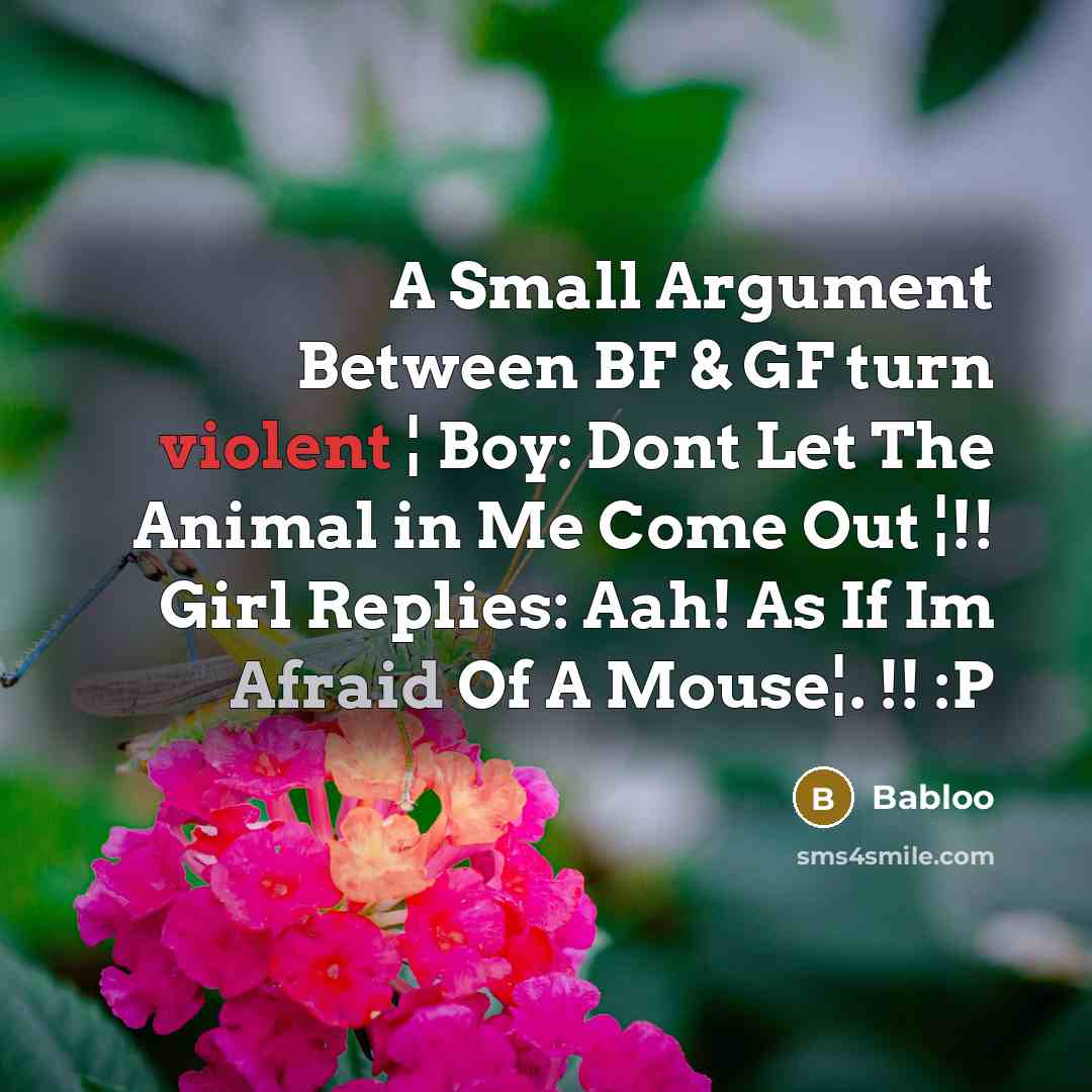 “A Small Argument Between BF & GF turn violent ¦ Boy: Dont Let The Animal in Me Come Out ¦!! Girl Replies: Aah! As If Im Afraid Of A Mouse¦. !! :P” quote by Babloo