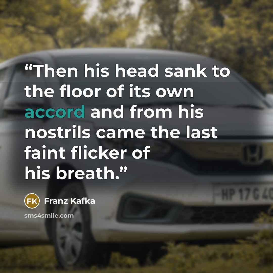 “Then his head sank to the floor of its own accord and from his nostrils came the last faint flicker of his breath.” quote by Franz Kafka