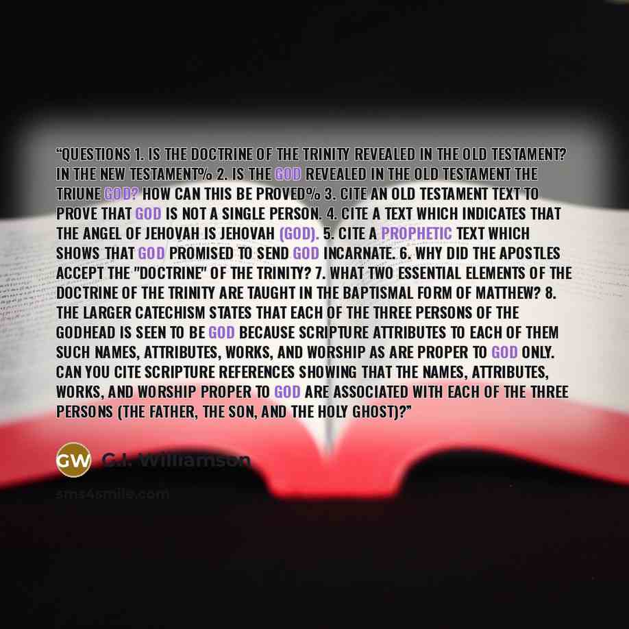 “QUESTIONS 1. Is the doctrine of the Trinity revealed in the Old Testament? In the New Testament% 2. Is the God revealed in the Old Testament the Triune God? How can this be proved% 3. Cite an Old Testament text to prove that God is not a single person. 4. Cite a text which indicates that the Angel…” quote by G.I. Williamson