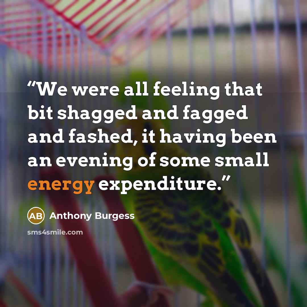 “We were all feeling that bit shagged and fagged and fashed, it having been an evening of some small energy expenditure.” quote by Anthony Burgess