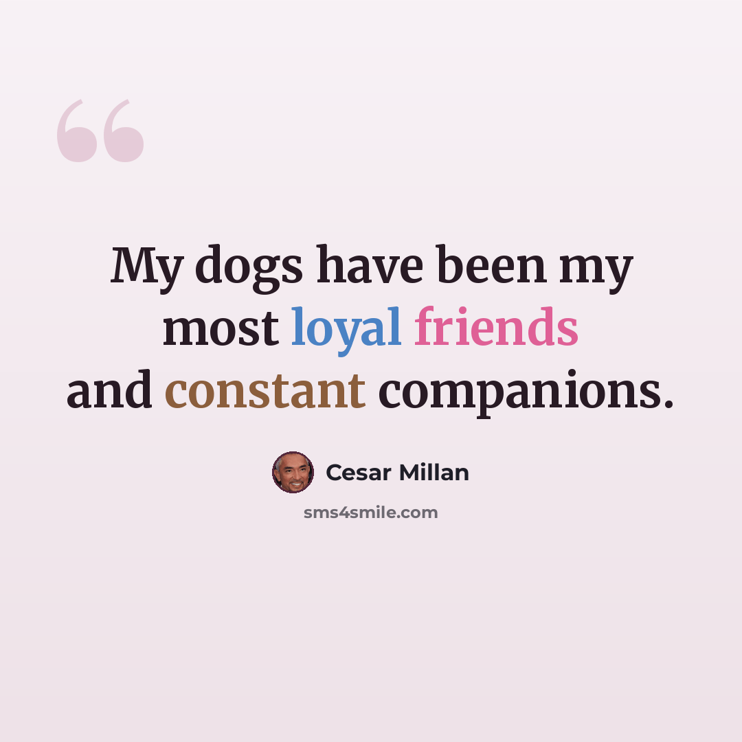 “My dogs have been my most loyal friends and constant companions.” quote by Cesar Millan