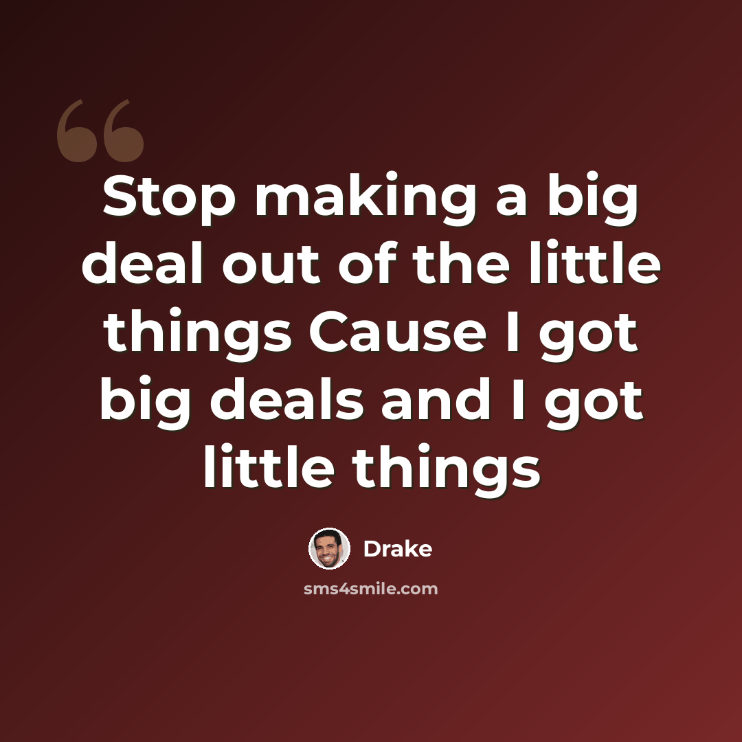 “Stop making a big deal out of the little things Cause I got big deals and I got little things” quote by Drake