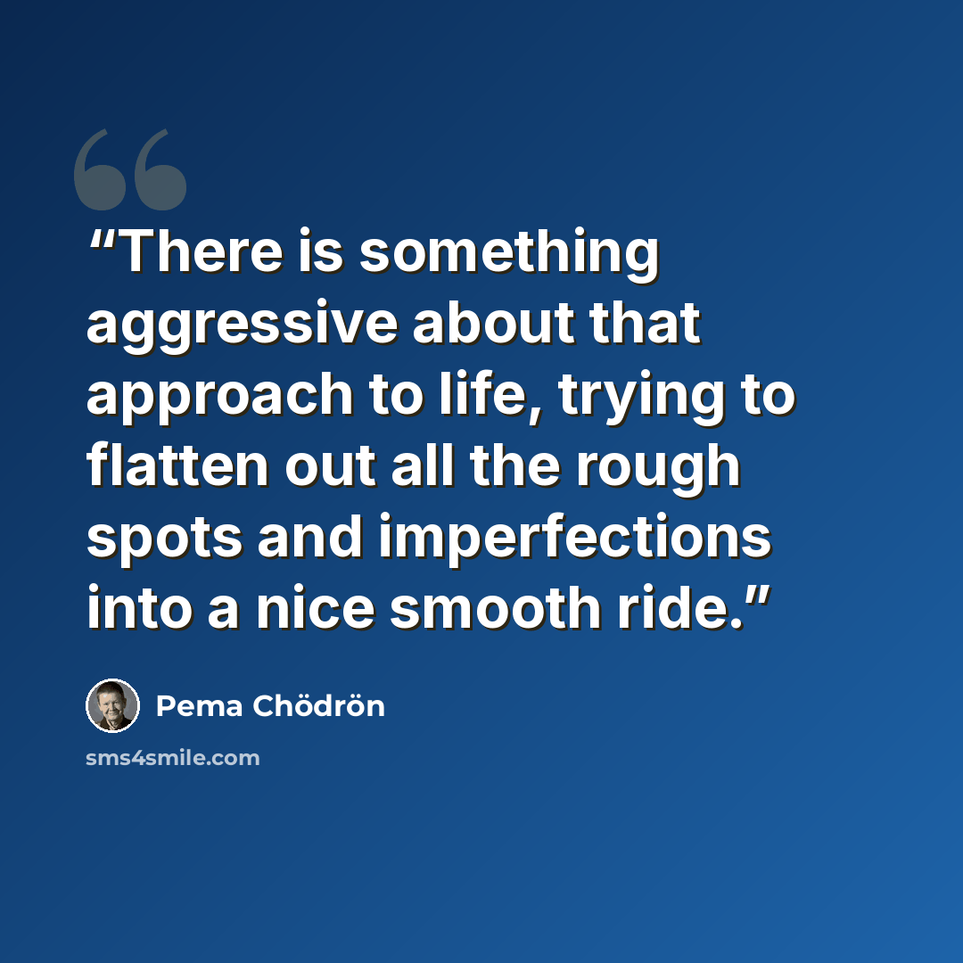 “There is something aggressive about that approach to life, trying to flatten out all the rough spots and imperfections into a nice smooth ride.” quote by Pema Chödrön