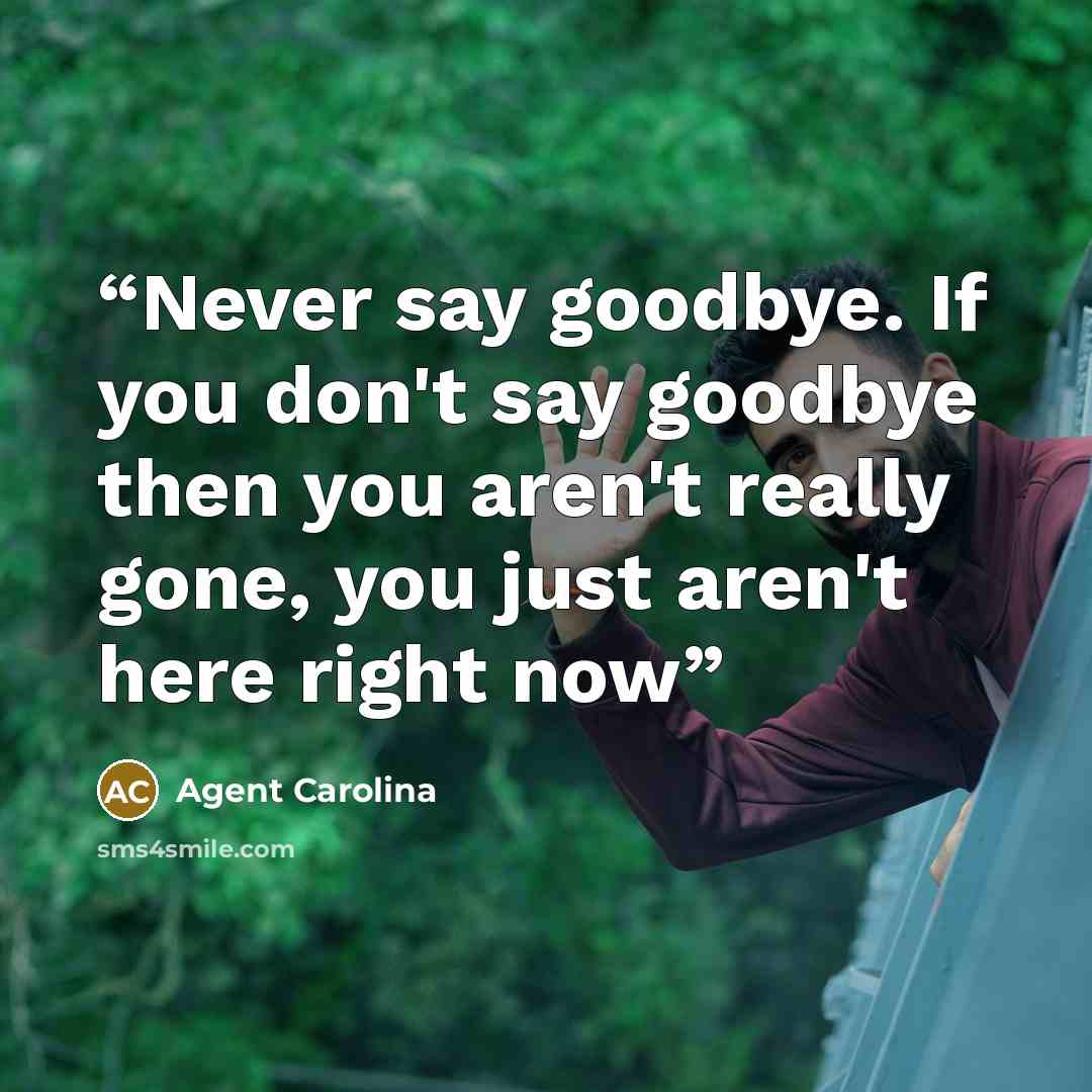 “Never say goodbye. If you don't say goodbye then you aren't really gone, you just aren't here right now” quote by Agent Carolina