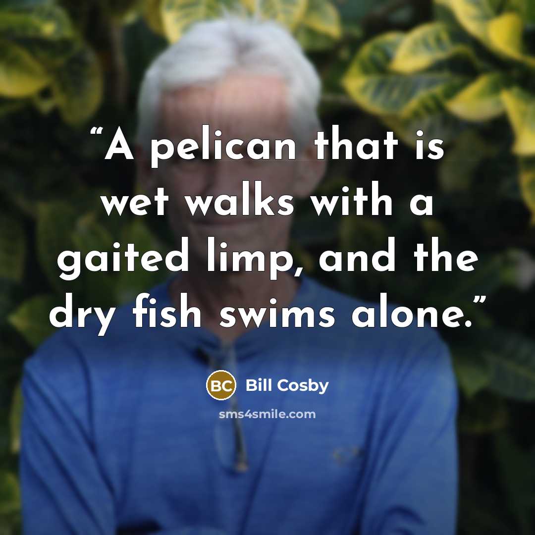 “A pelican that is wet walks with a gaited limp, and the dry fish swims alone.” quote by Bill Cosby