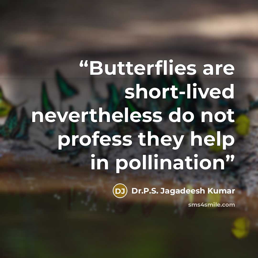 “Butterflies are short-lived nevertheless do not profess they help in pollination” quote by Dr.P.S. Jagadeesh Kumar