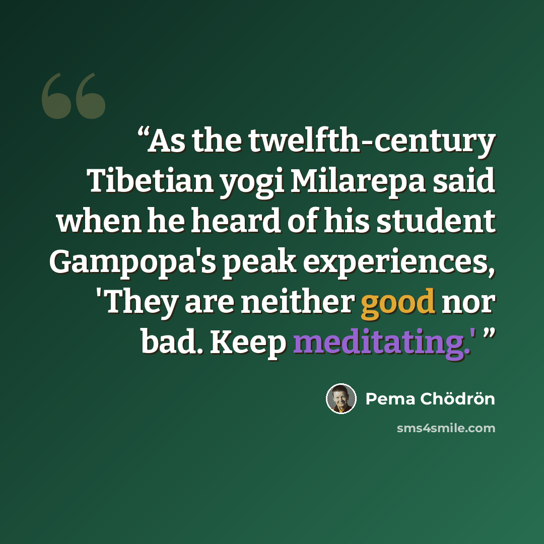 “As the twelfth-century Tibetian yogi Milarepa said when he heard of his student Gampopa's peak experiences, 'They are neither good nor bad. Keep meditating.'” quote by Pema Chödrön