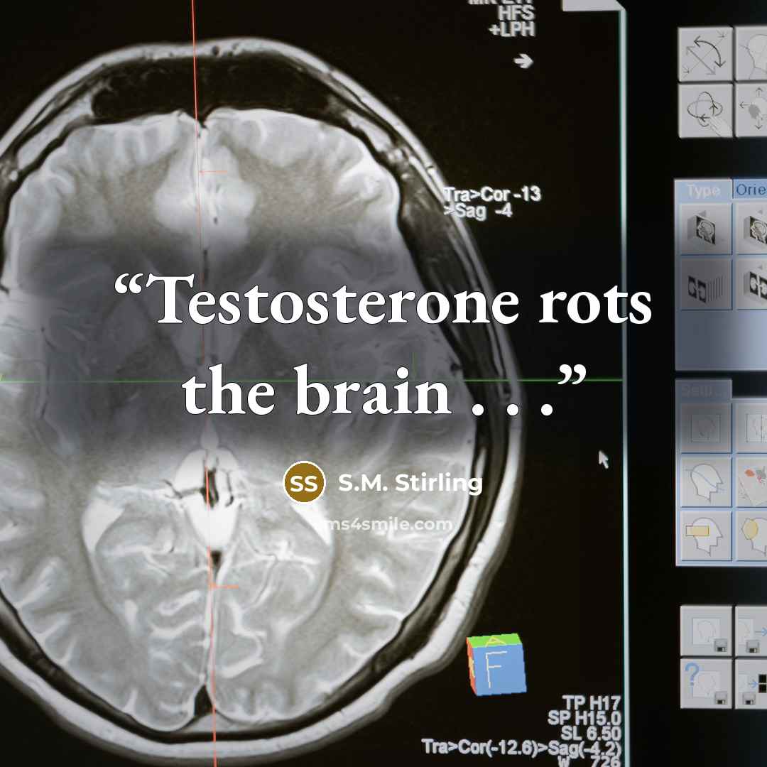 “Testosterone rots the brain . . .” quote by S.M. Stirling