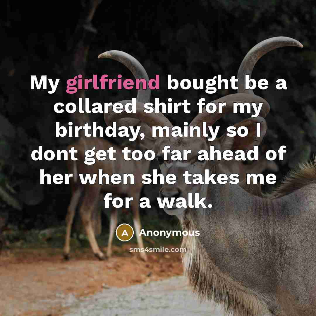 “My girlfriend bought be a collared shirt for my birthday, mainly so I dont get too far ahead of her when she takes me for a walk.” quote by Anonymous
