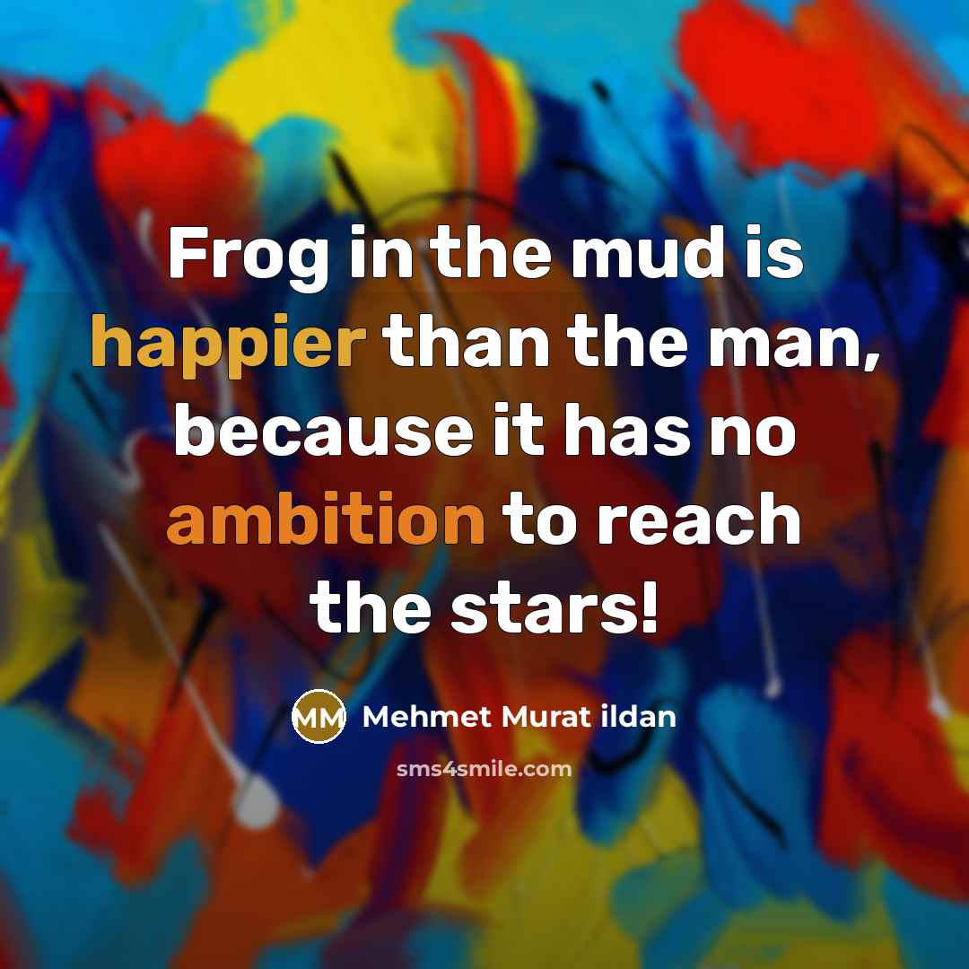 “Frog in the mud is happier than the man, because it has no ambition to reach the stars!” quote by Mehmet Murat Ildan