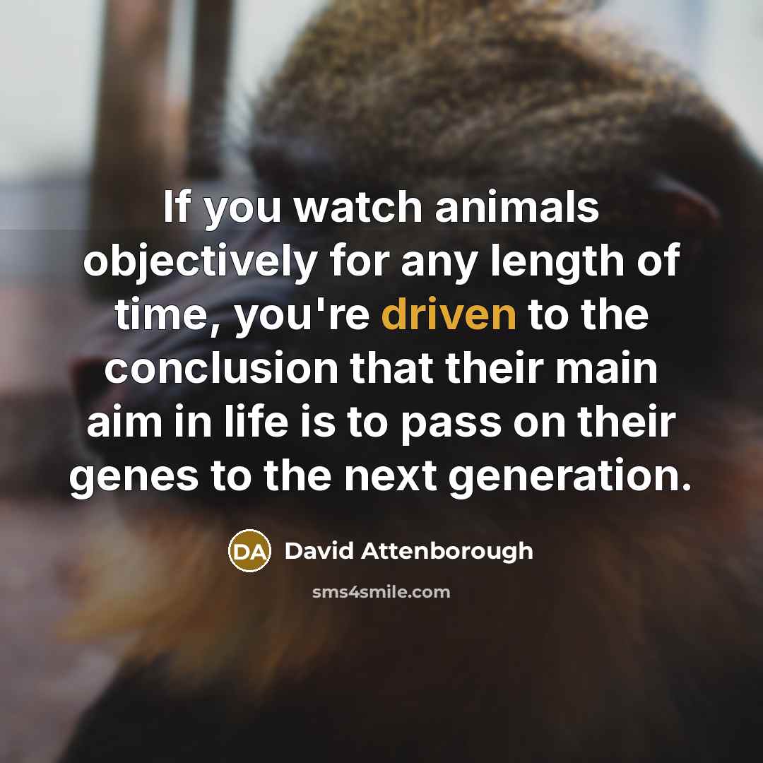 “If you watch animals objectively for any length of time, you're driven to the conclusion that their main aim in life is to pass on their genes to the next generation.” quote by David Attenborough
