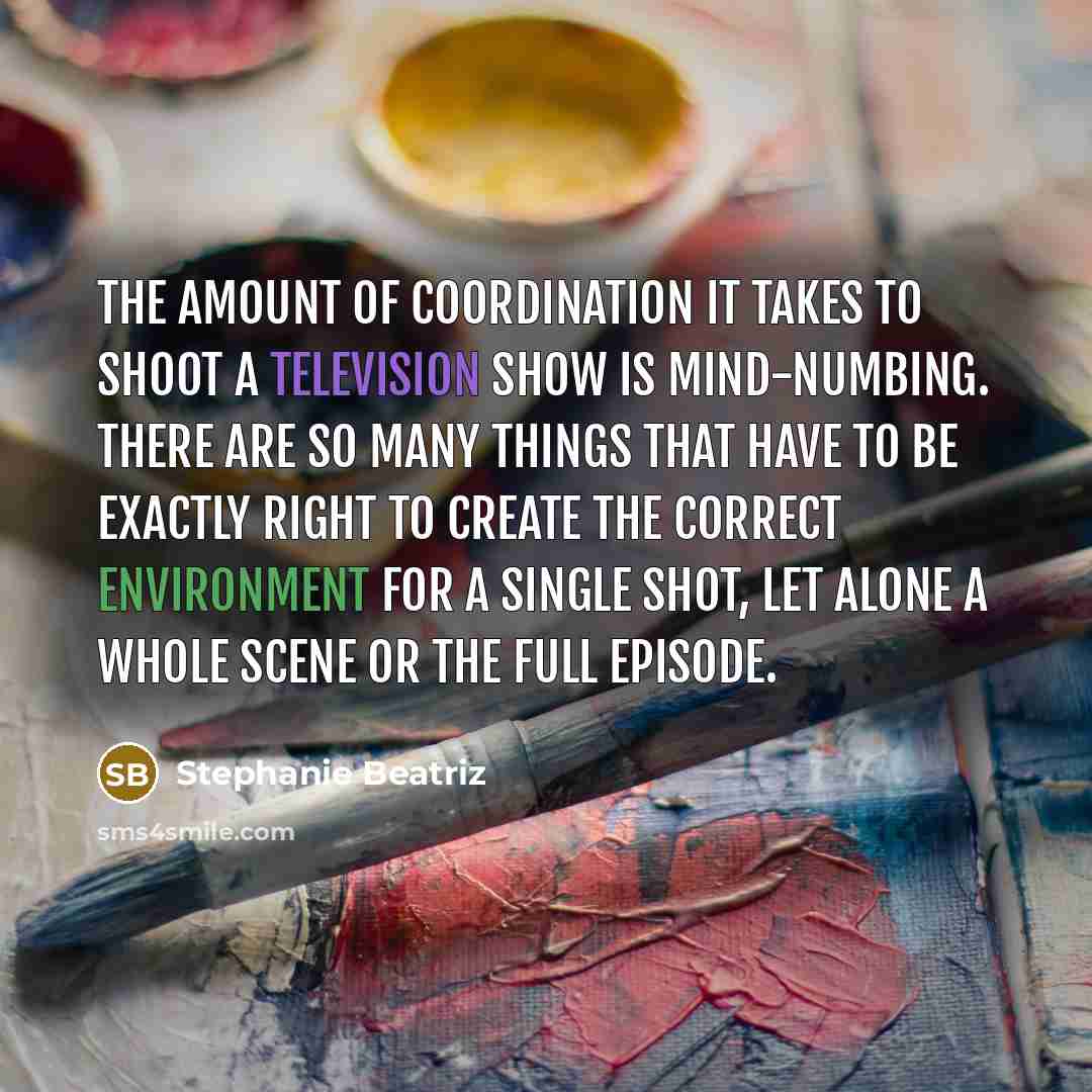 “The amount of coordination it takes to shoot a television show is mind-numbing. There are so many things that have to be exactly right to create the correct environment for a single shot, let alone a whole scene or the full episode.” quote by Stephanie Beatriz